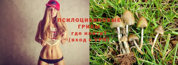 каннабис Алексеевка