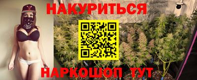 спиды Кингисепп