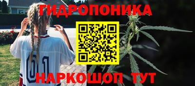 скорость Кинель