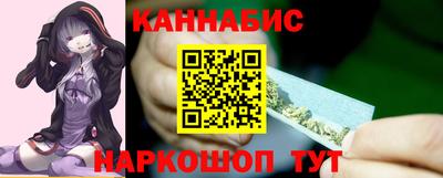 спиды Кингисепп