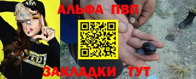 спиды Кингисепп