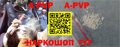 спиды Кингисепп