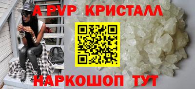 спиды Кингисепп